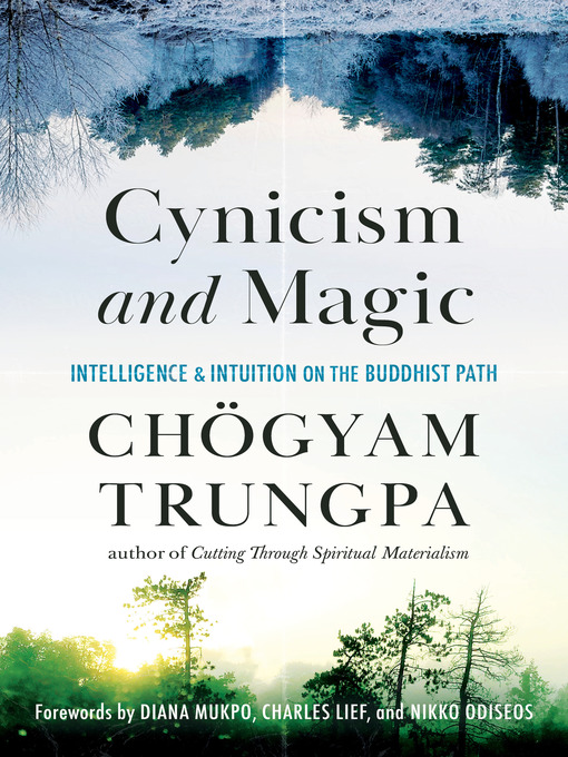 Cover image for Cynicism and Magic